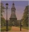 J:\Steele2\nan\image6.gif (17458 bytes)