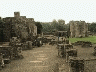 J:\Steele2\nan\image7.gif (36666 bytes)