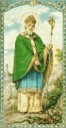 J:\Steele2\nan\image9.gif (47602 bytes)